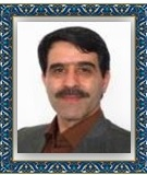 هادی علایی کیا -مدیر سایت ومعاون فناوری