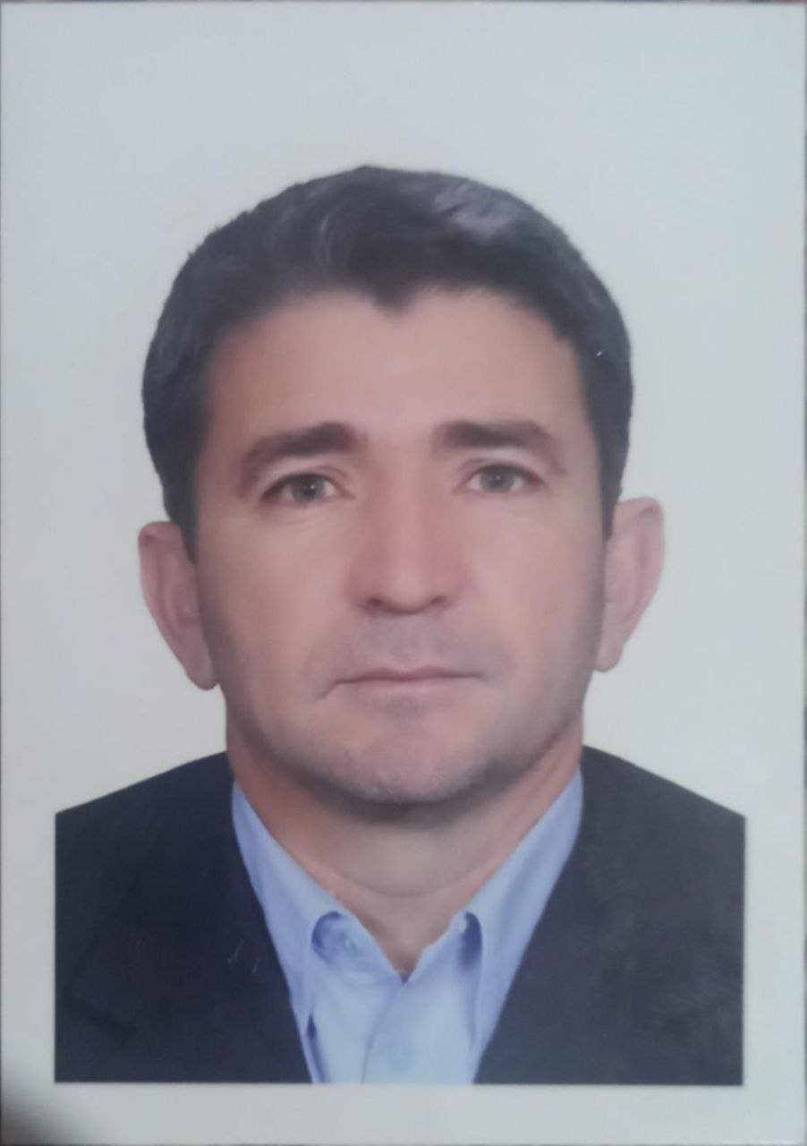 آقای علی محمودی (مطالعات)